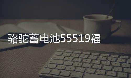 駱駝蓄電池55519福特?？怂辜文耆A馬自達(dá)3/2賽歐汽車電瓶12V55ah