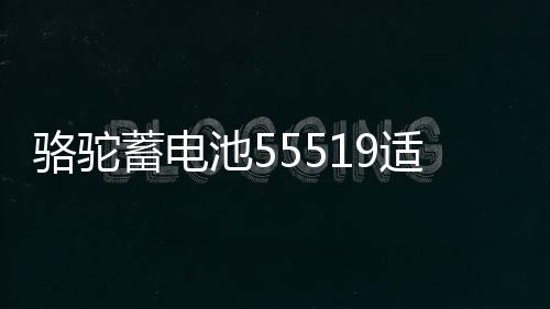 駱駝蓄電池55519適配?？怂辜文耆A傳祺賽歐名爵汽車(chē)電瓶12V55ah
