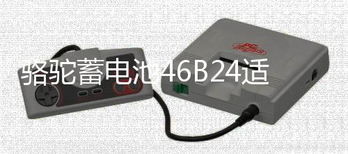 駱駝蓄電池46B24適配于起亞K2現(xiàn)代瑞納瑞奕 45ah汽車(chē)電瓶以舊換新