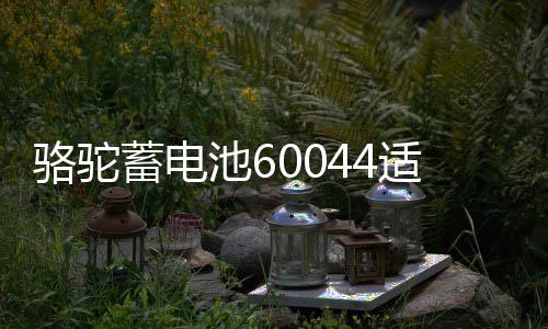 駱駝蓄電池60044適用路虎寶馬7系奔馳S級100AH汽車電瓶 以舊換新