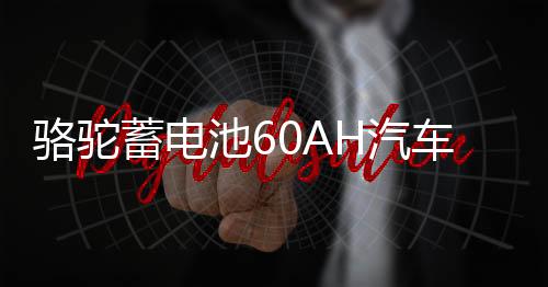 駱駝蓄電池60AH汽車電瓶L2400適配斯柯達(dá)明銳昊銳昕銳科魯茲速派