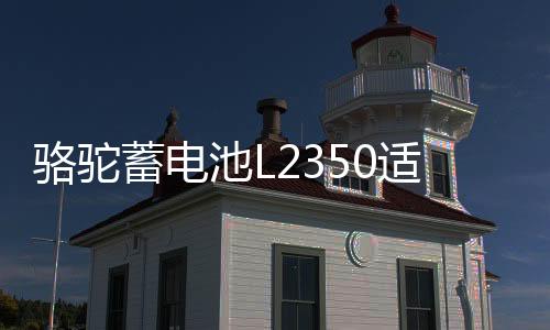 駱駝蓄電池L2350適用于東風景逸長安悅翔睿騁逸動睿成汽車電瓶
