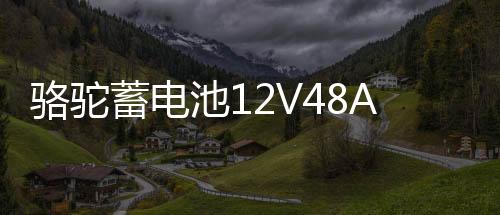 駱駝蓄電池12V48AH適配五菱榮光之光北汽58500低溫強(qiáng)勁汽車(chē)電瓶