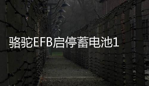 駱駝EFB啟停蓄電池12V70AH奧迪Q3A3高爾夫7領(lǐng)動英朗途觀L汽車電瓶