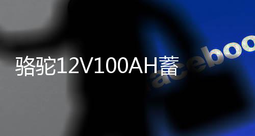 駱駝12V100AH蓄電池貨車三輪拖拉機(jī)柴油車發(fā)電機(jī)低溫強(qiáng)勁汽車電瓶
