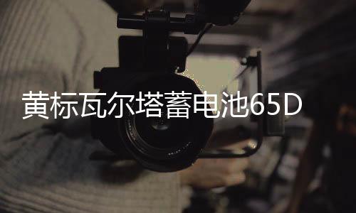 黃標(biāo)瓦爾塔蓄電池65D23L汽車電瓶 適配卡羅拉朗動(dòng)花冠奇駿