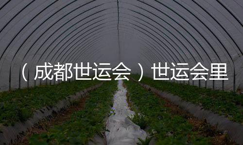 （成都世運會）世運會里的非遺之約：東方美學(xué)與世界溫柔相遇