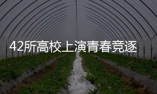 42所高校上演青春競(jìng)逐 2025CURA全國(guó)接力總決賽首次在滬舉行