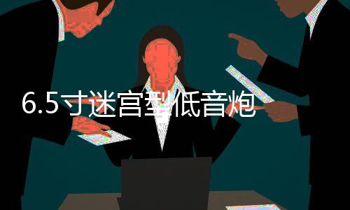 6.5寸迷宮型低音炮 木質 空箱體 功放汽車音響喇叭音箱外殼孔可改