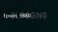 Epson  9880C 熱轉(zhuǎn)印打印機(jī) 宣紙打印機(jī)