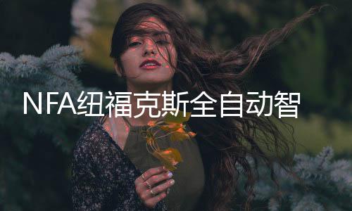 NFA紐福克斯全自動智能修復(fù)型汽車摩托車電瓶充電器蓄電池充電機(jī)