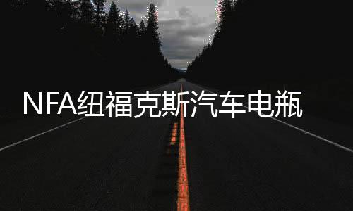 NFA紐福克斯汽車電瓶充電器12V大功率agm蓄電池全自動智能充電機
