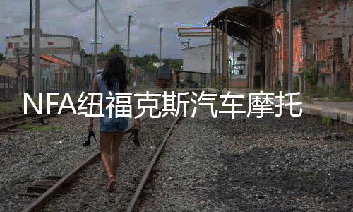 NFA紐?？怂蛊嚹ν熊囯娖砍潆娖?2V數(shù)顯全自動車載蓄電池充電機