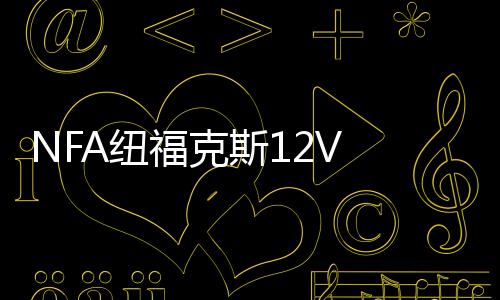 NFA紐?？怂?2V 25A全自動(dòng)汽車電瓶充電器蓄電池充電機(jī) 引擎啟動(dòng)