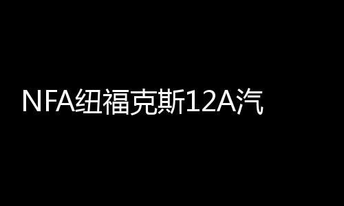 NFA紐?？怂?2A汽車(chē)電瓶充電器12V數(shù)顯車(chē)載蓄電池充電器電瓶修復(fù)