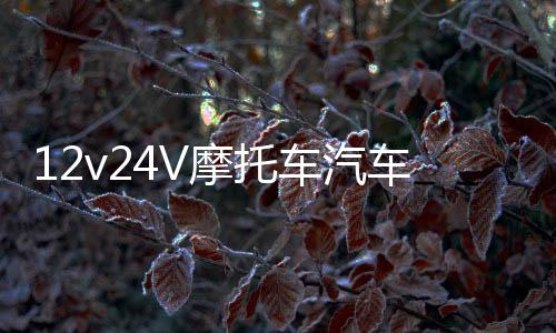 12v24V摩托車汽車純銅充電器貨車叉車電瓶船用充滿自停電池充電機