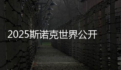 2025斯諾克世界公開賽：丁俊暉輕松晉級 塞爾比爆冷出局